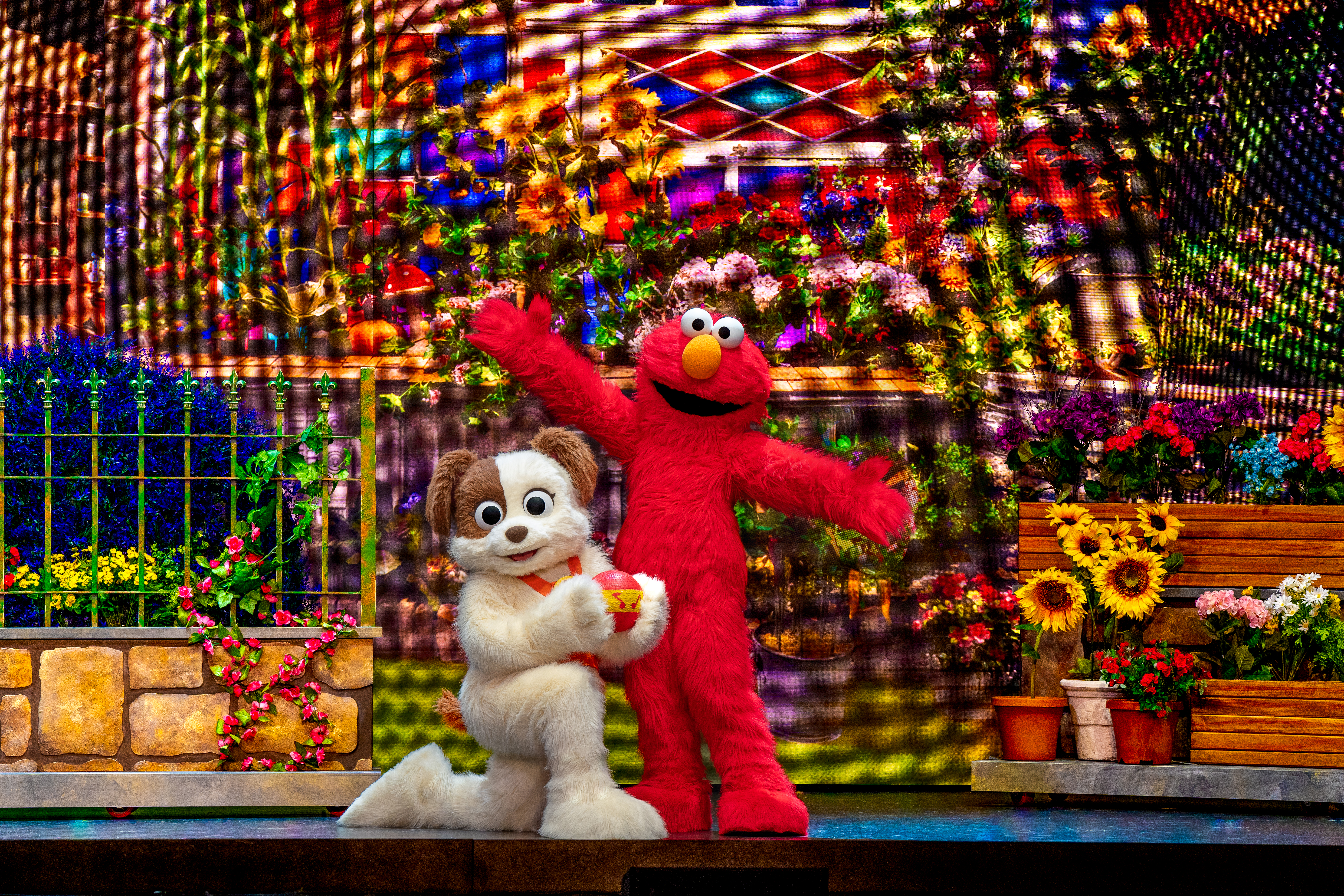 Elmo