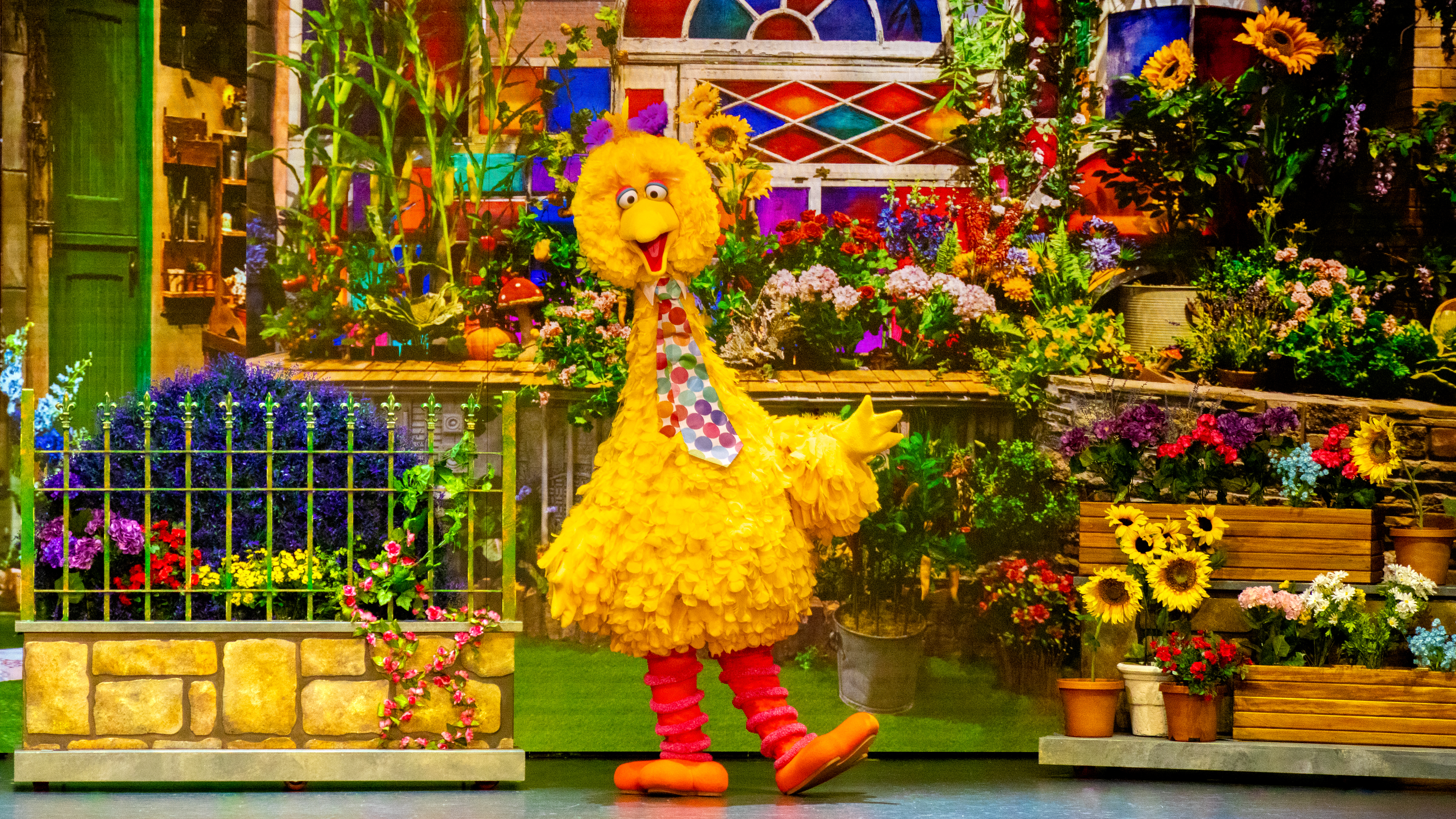 Big Bird